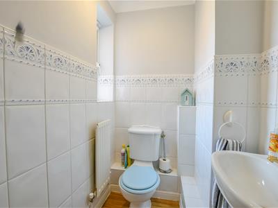 Picture 19